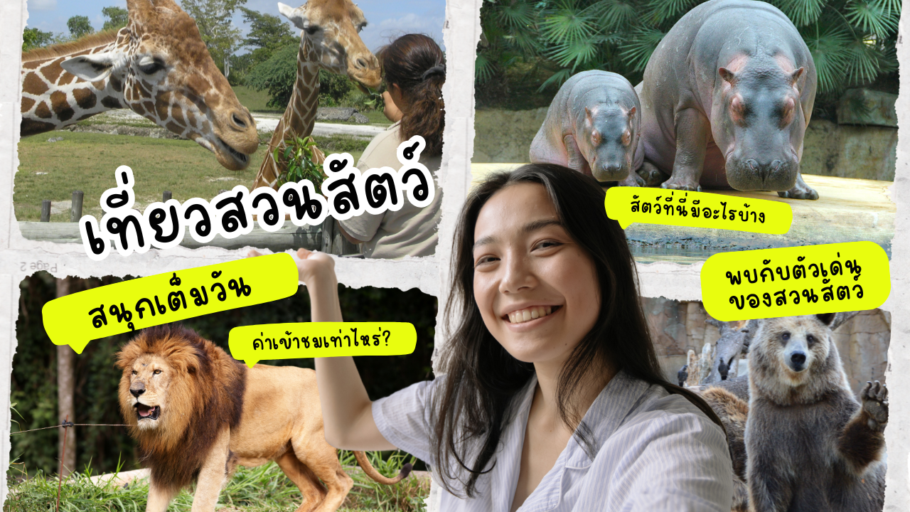 เที่ยวสวนสัตว์